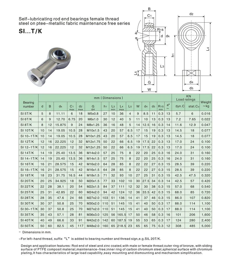 SI(001)